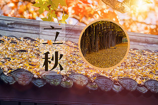 可燃?xì)怏w報警器應(yīng)避免在以下環(huán)境進(jìn)行使用